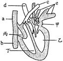 2-nk-3-36