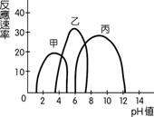 1-1-3-6